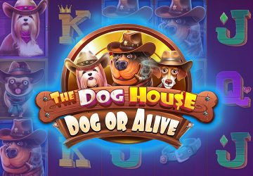 NetEnt - игровой автомат онлайн от Various с RTP 96.63%